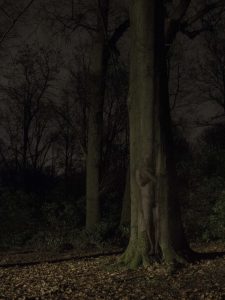Series